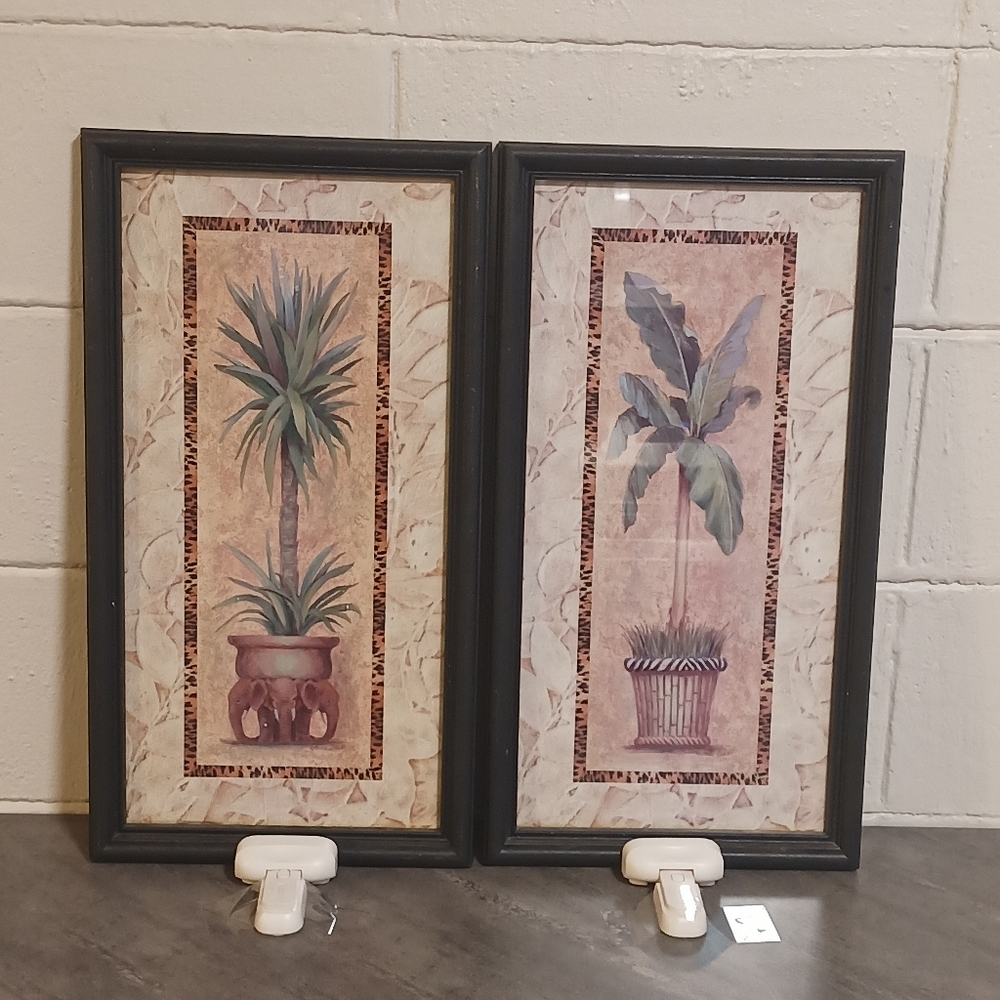 Set of Two Framed Botanical Framed Art Collectible